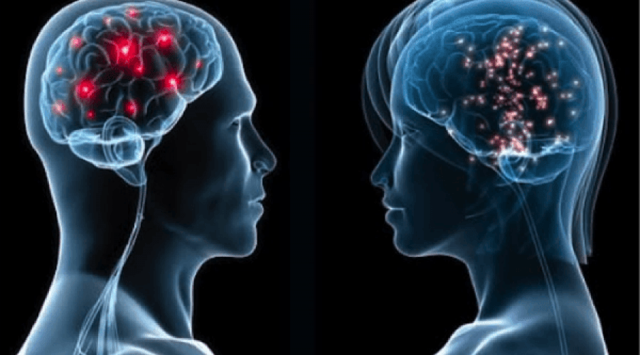 cerebro drogas