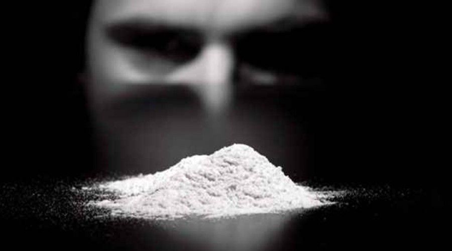 datos sobre la cocaina